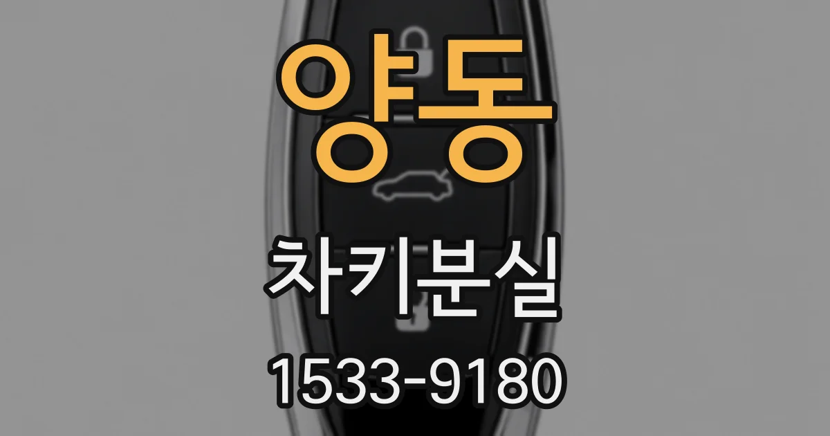 양동 차키분실