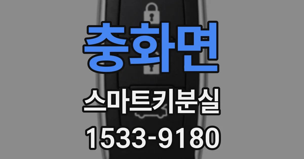 충화면 스마트키분실