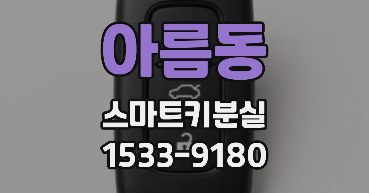 아름동 스마트키분실