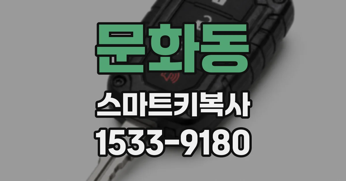 문화동 스마트키복사