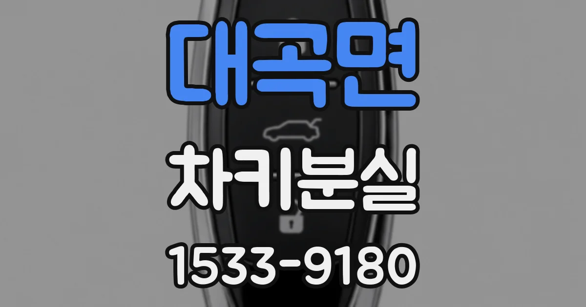 대곡면 차키분실