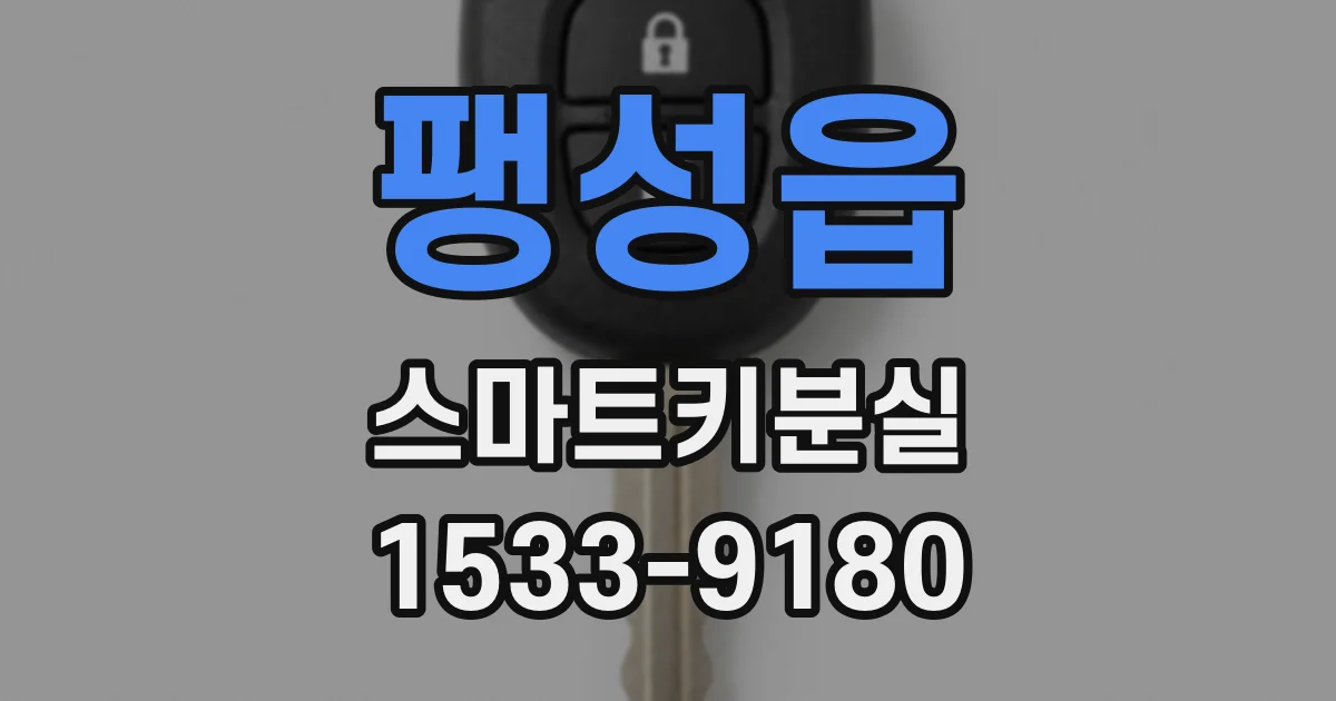 팽성읍 스마트키분실