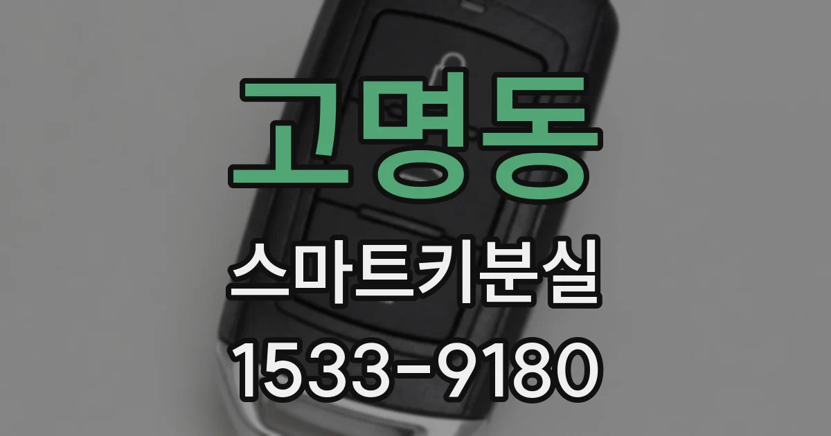 고명동 스마트키분실