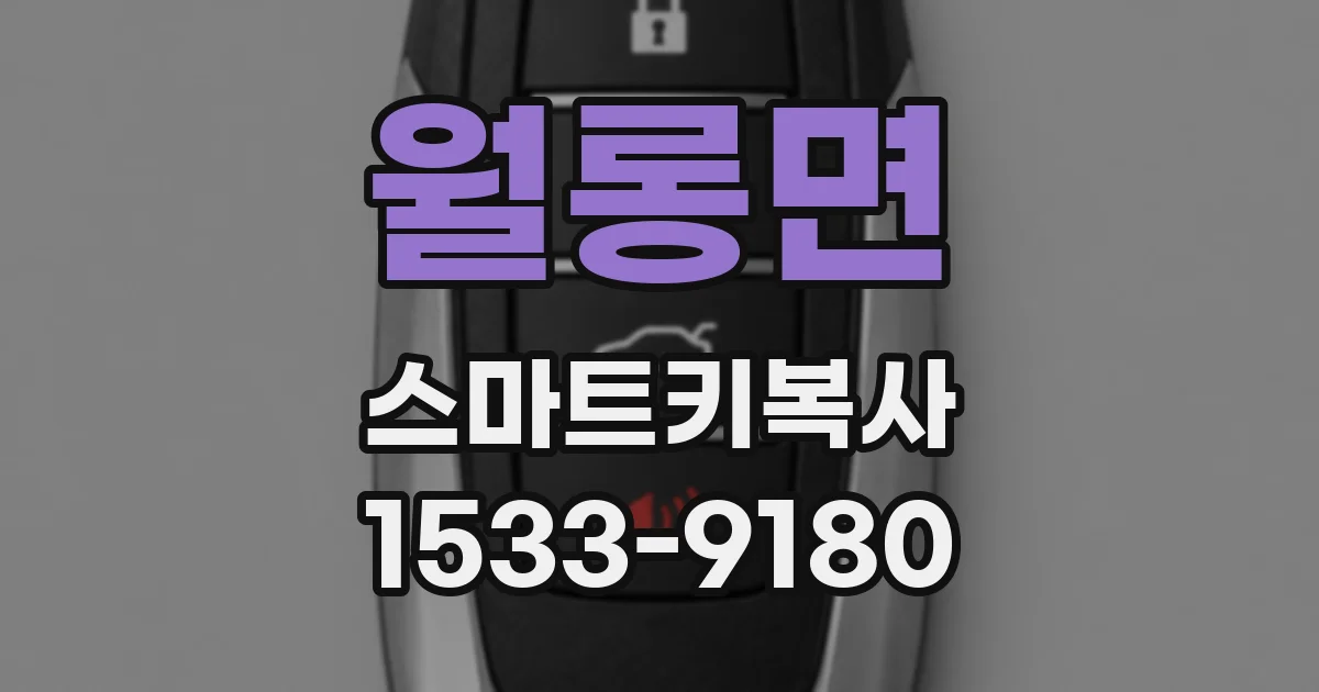 월롱면 스마트키복사