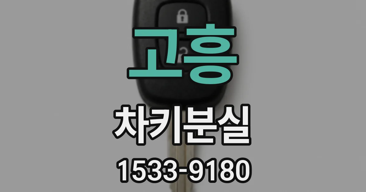고흥 차키분실