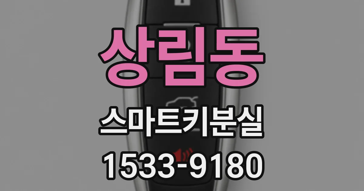상림동 스마트키분실