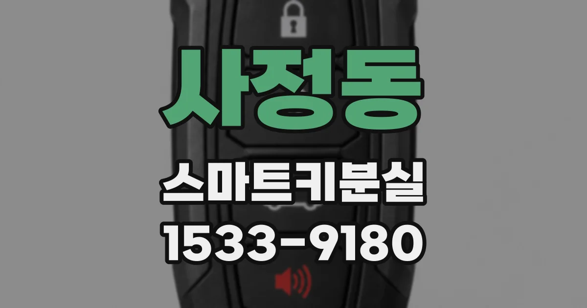 사정동 스마트키분실