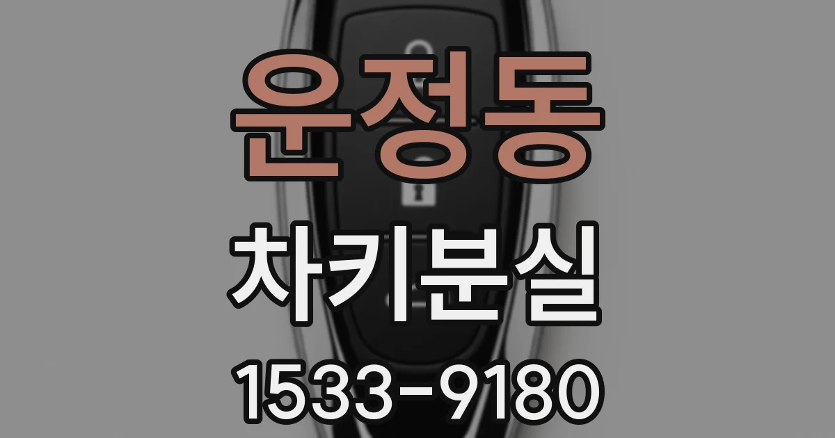 운정동 차키분실