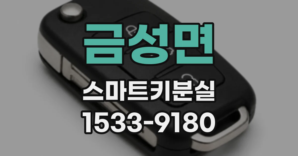 금성면 스마트키분실
