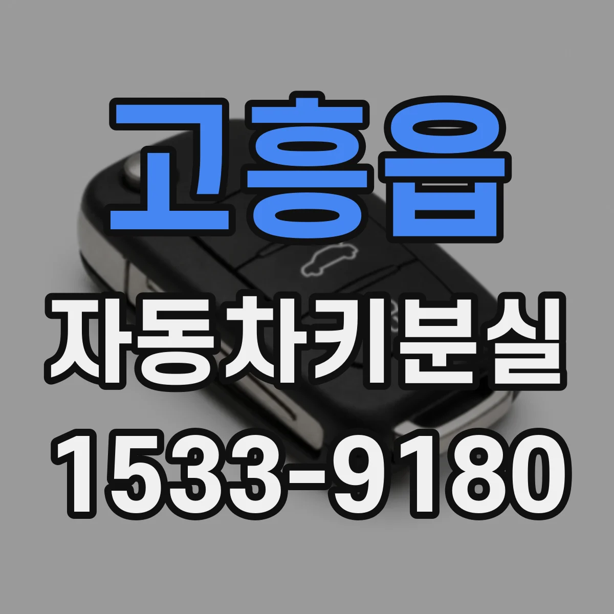 고흥읍 자동차키분실