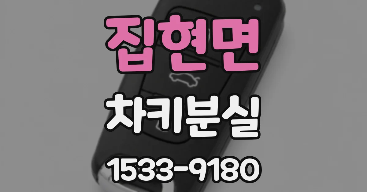 집현면 차키분실