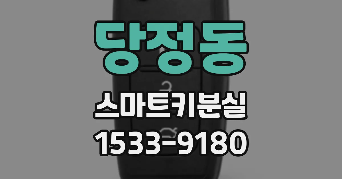 당정동 스마트키분실