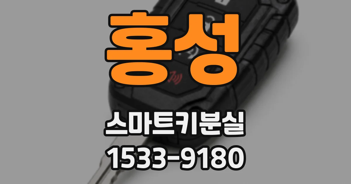 홍성 스마트키분실