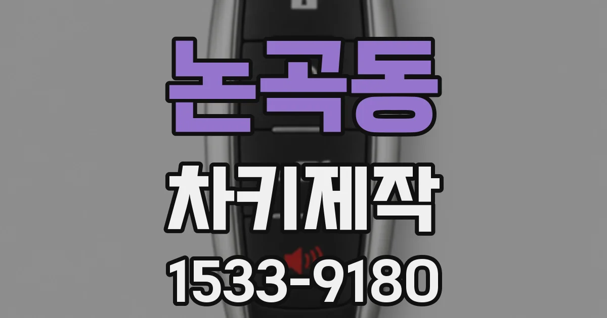 논곡동 차키제작
