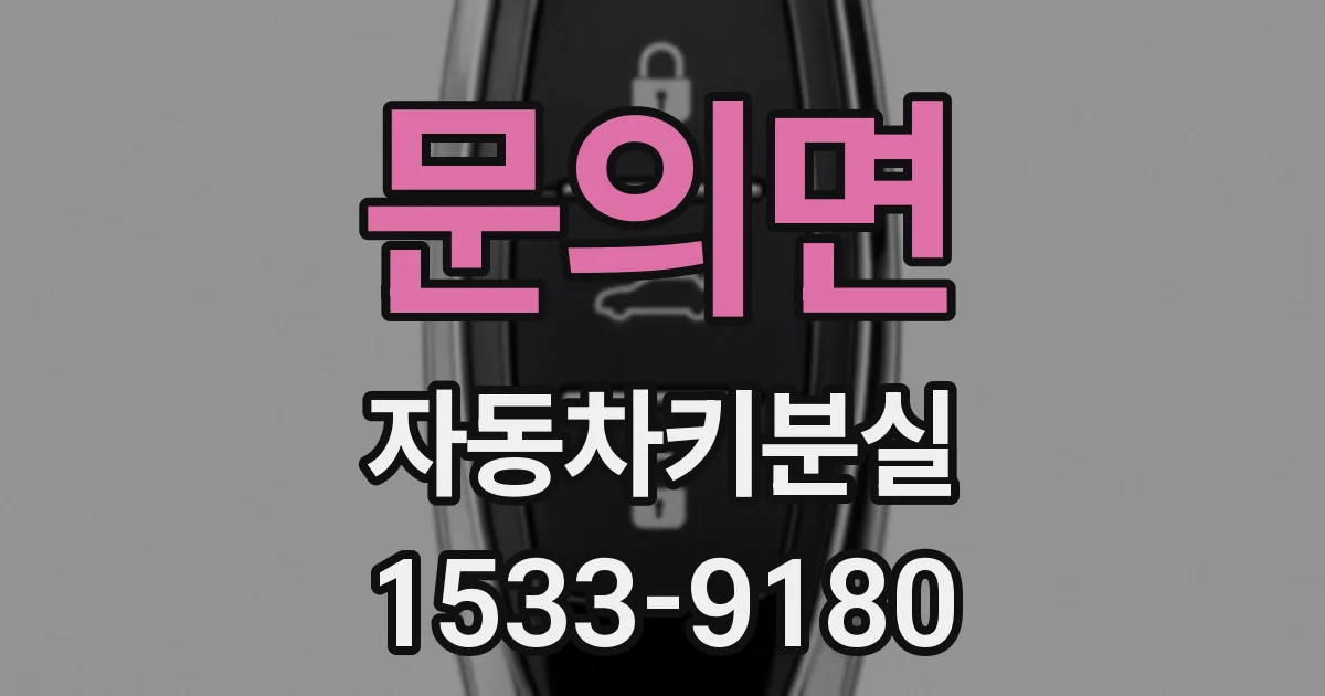 문의면 자동차키분실