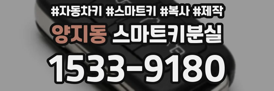 양지동 스마트키분실