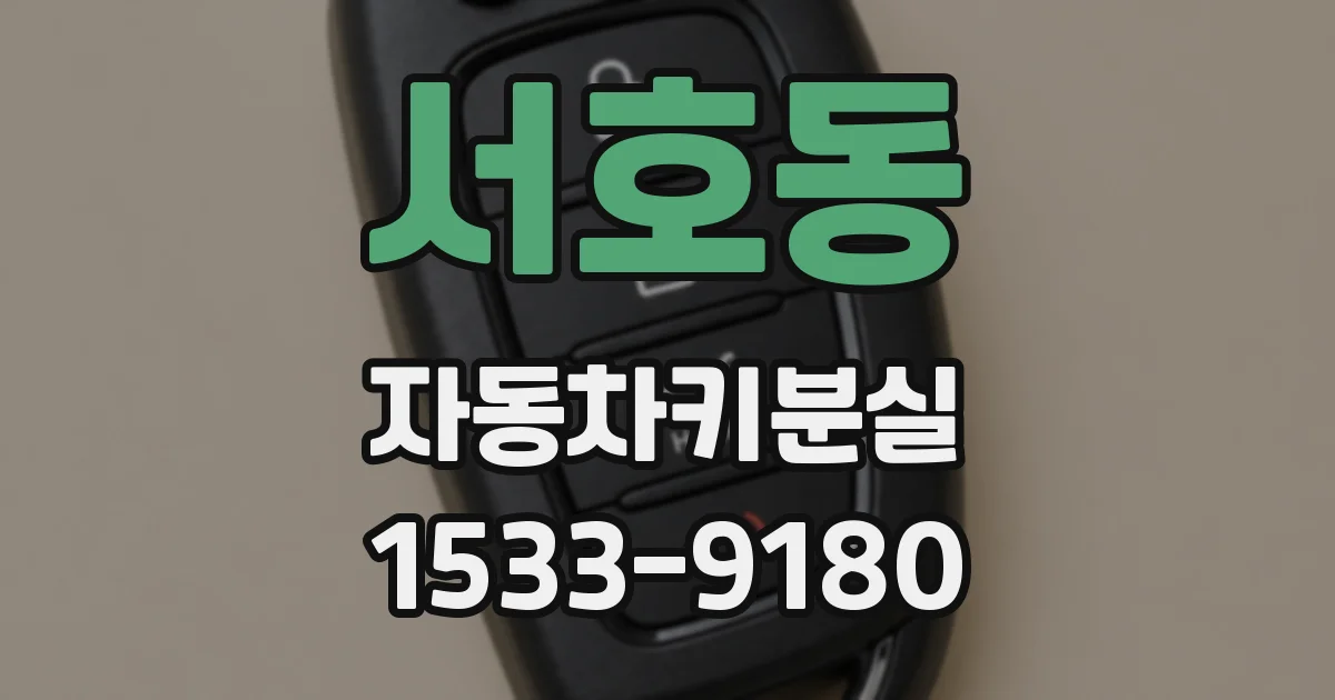 서호동 자동차키분실