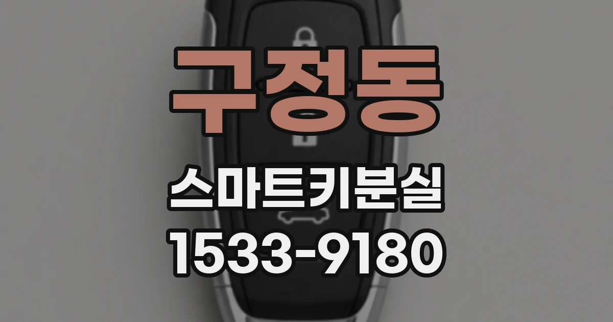 구정동 스마트키분실