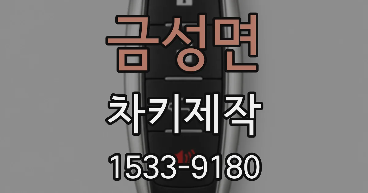 금성면 차키제작