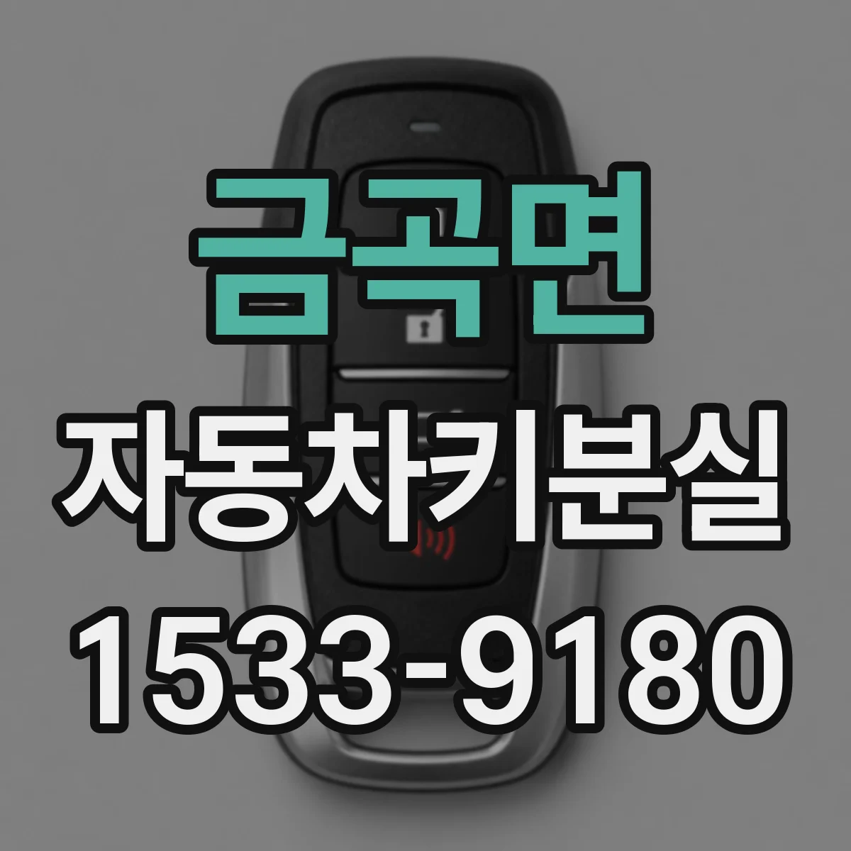 금곡면 자동차키분실
