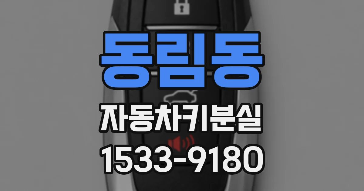 동림동 자동차키분실