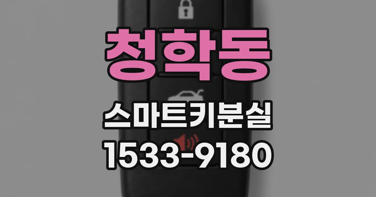 청학동 스마트키분실