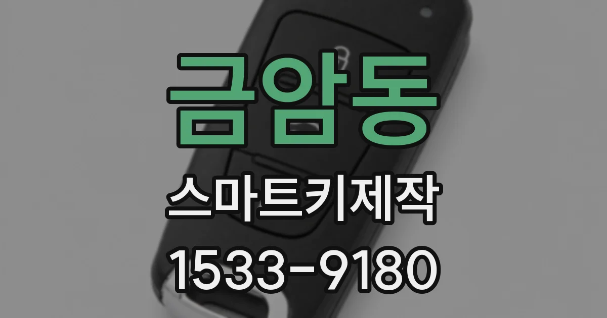 금암동 스마트키제작