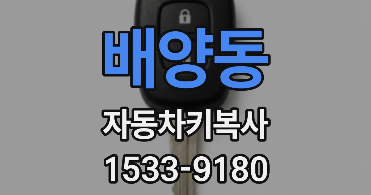 배양동 자동차키복사