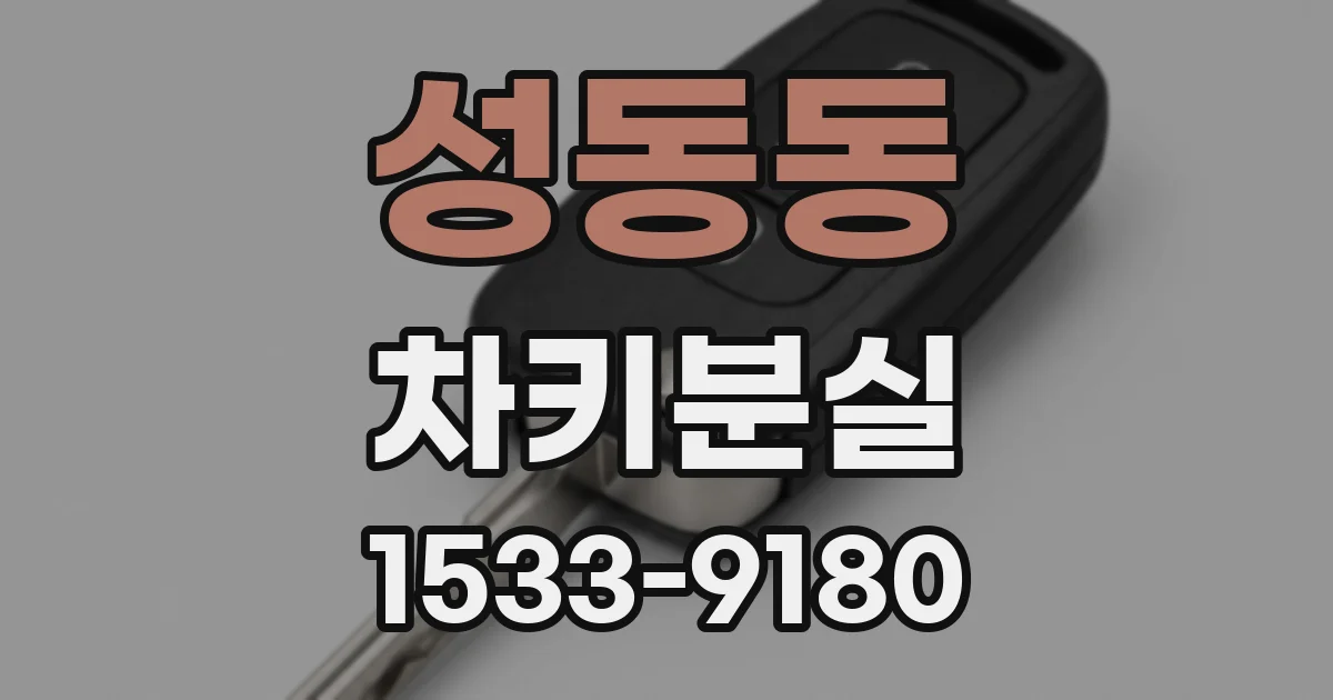 성동동 차키분실