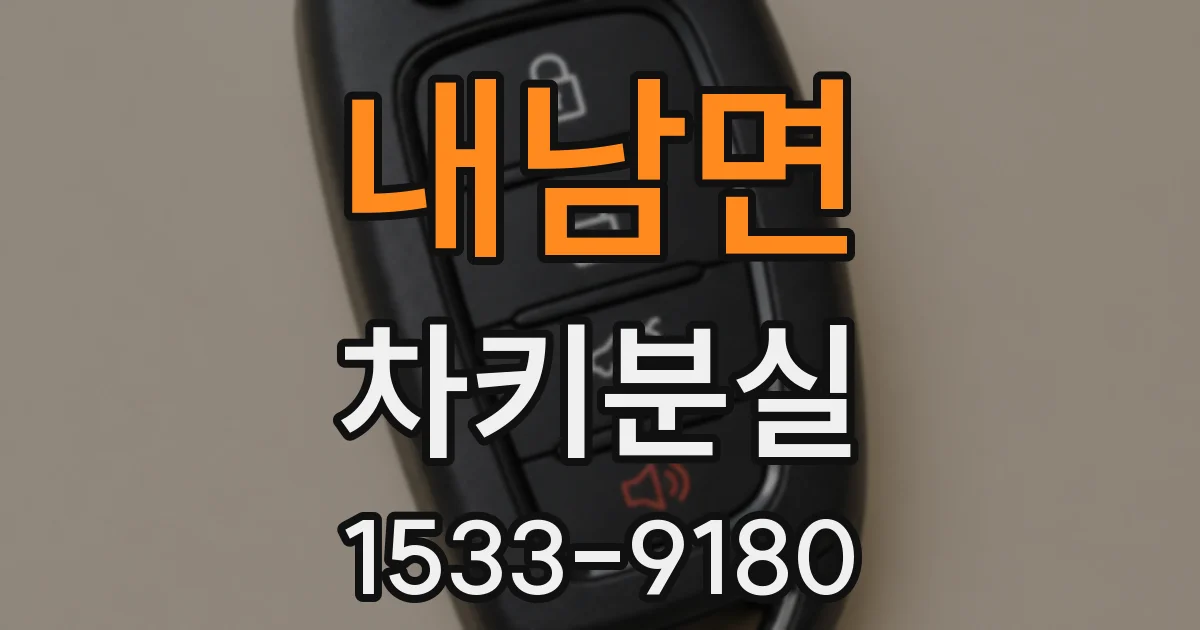 내남면 차키분실
