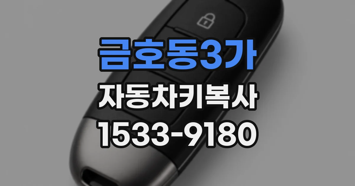 금호동3가 자동차키복사