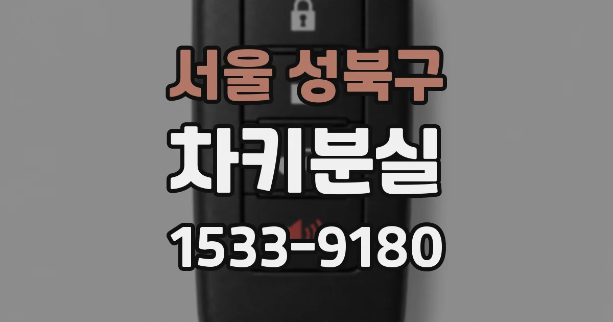 서울 성북구 차키분실