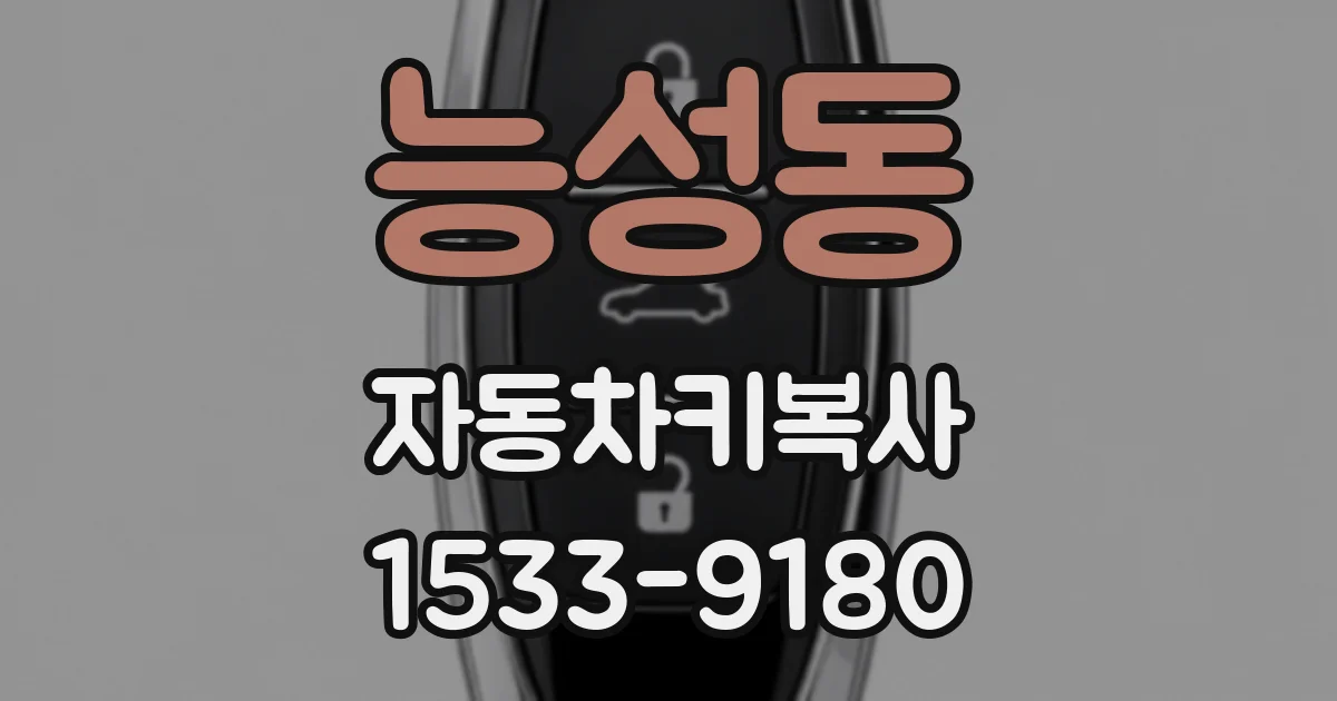 능성동 자동차키복사