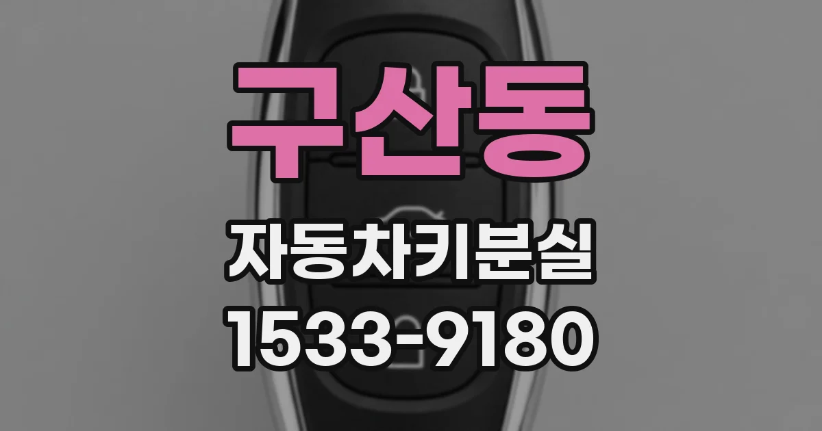 구산동 자동차키분실