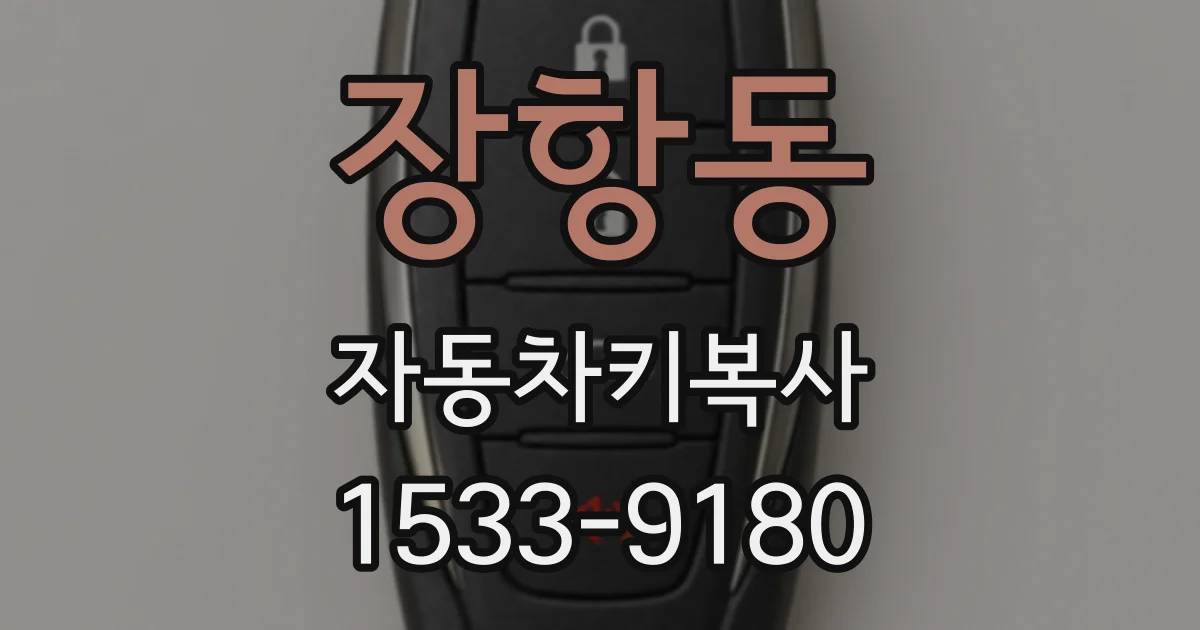 장항동 자동차키복사