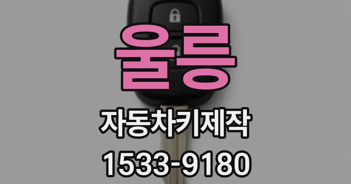 울릉 자동차키제작