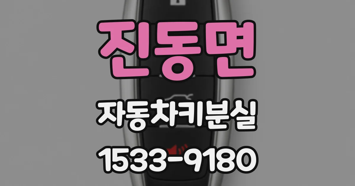 진동면 자동차키분실