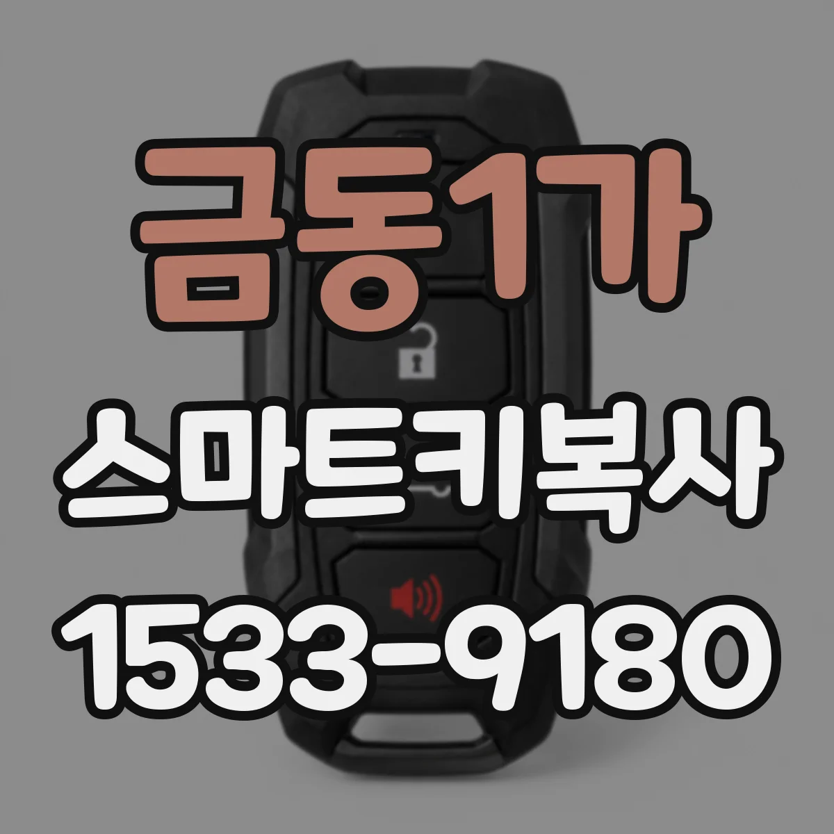 금동1가 스마트키복사