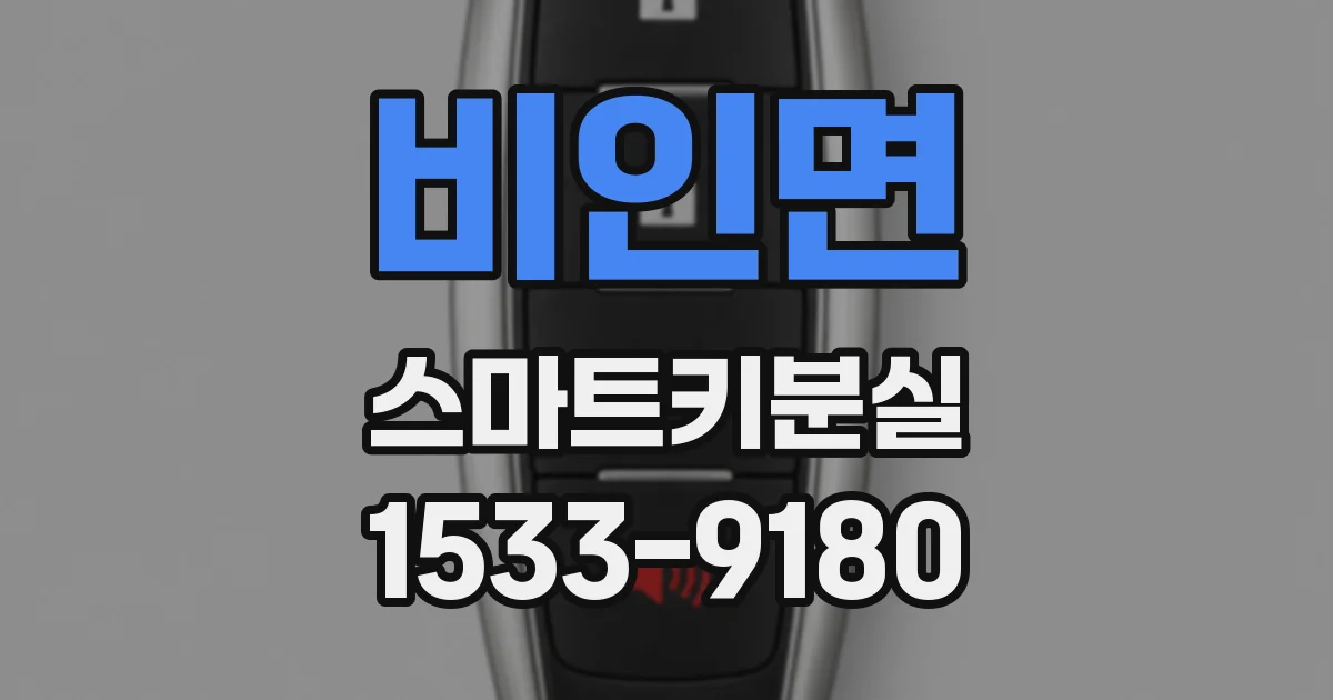 비인면 스마트키분실