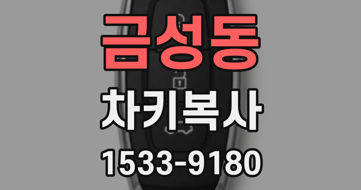 금성동 차키복사