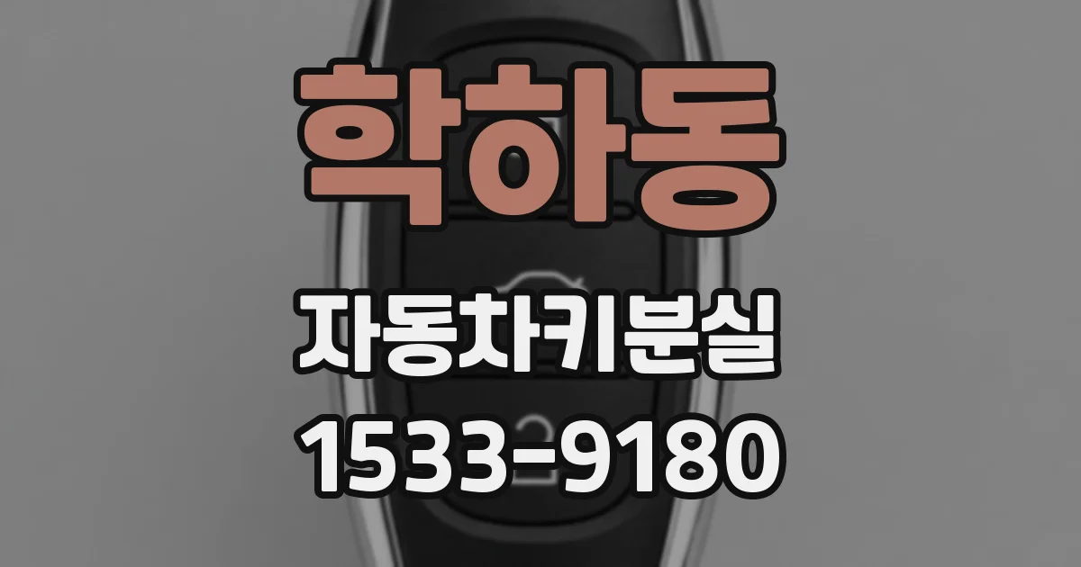 학하동 자동차키분실