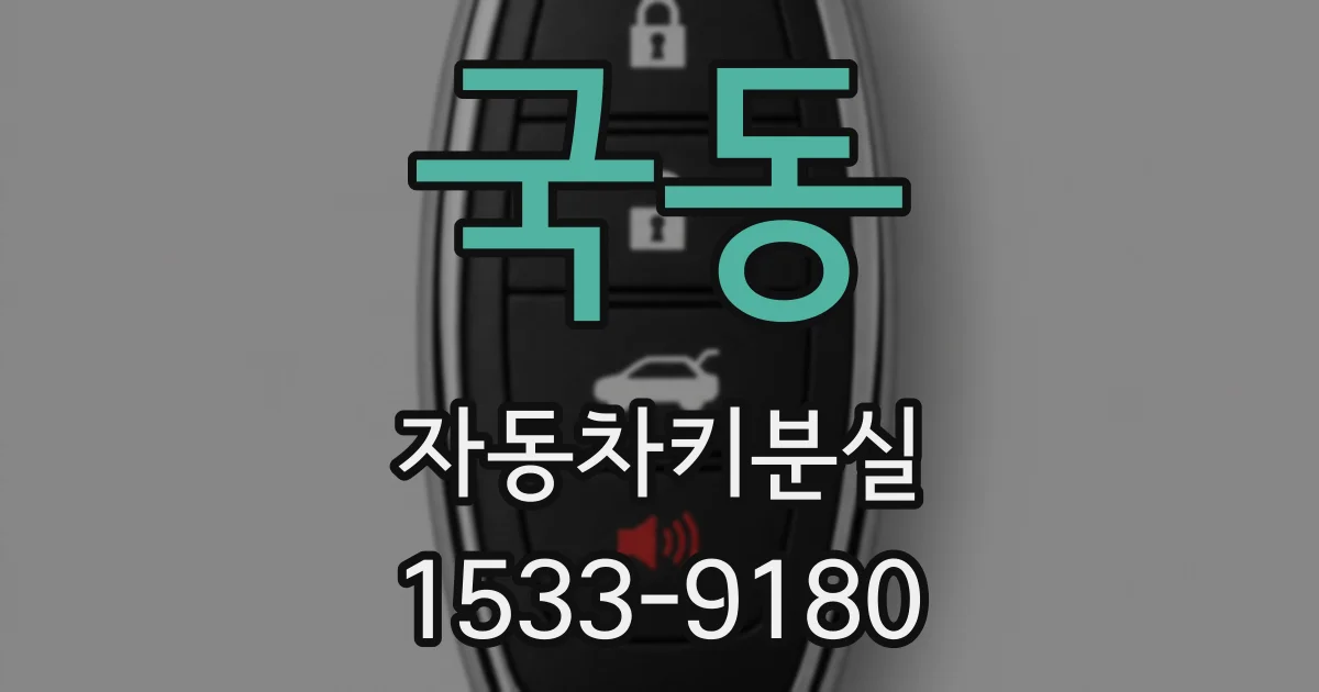 국동 자동차키분실