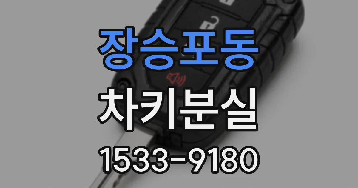 장승포동 차키분실