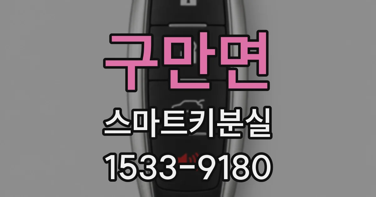 구만면 스마트키분실