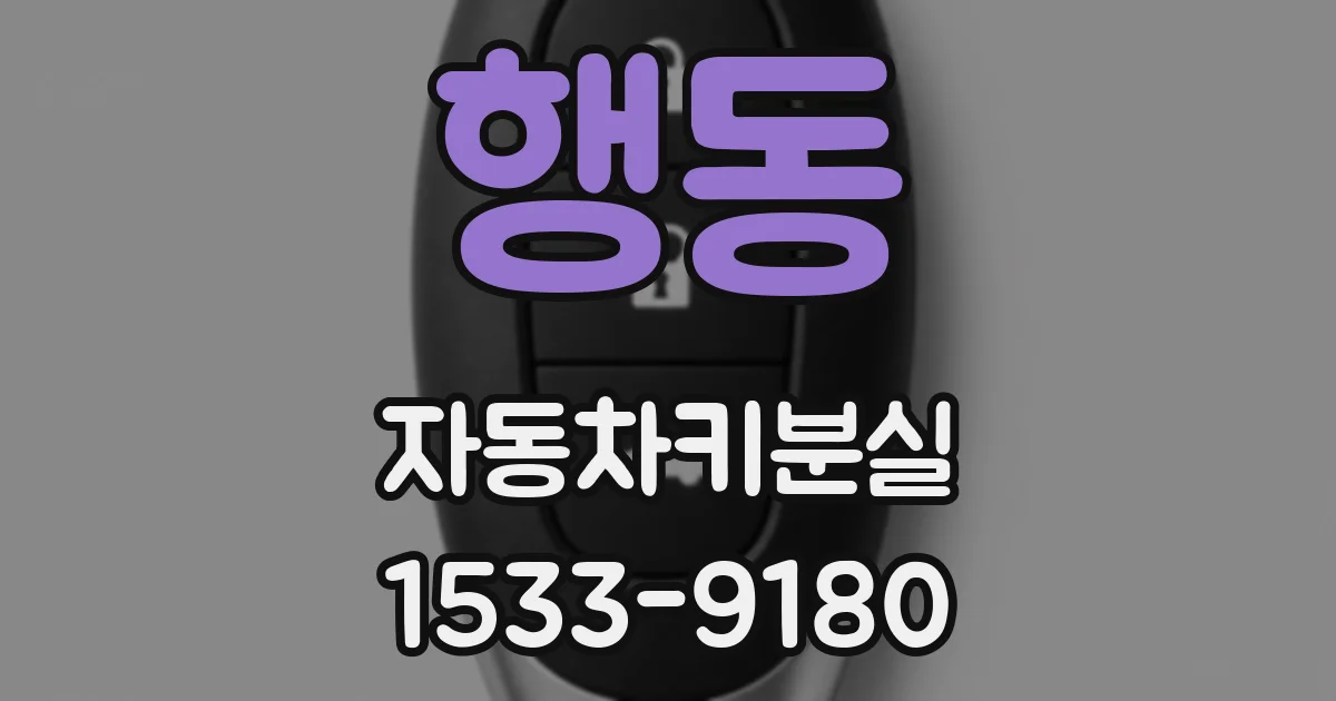 행동 자동차키분실