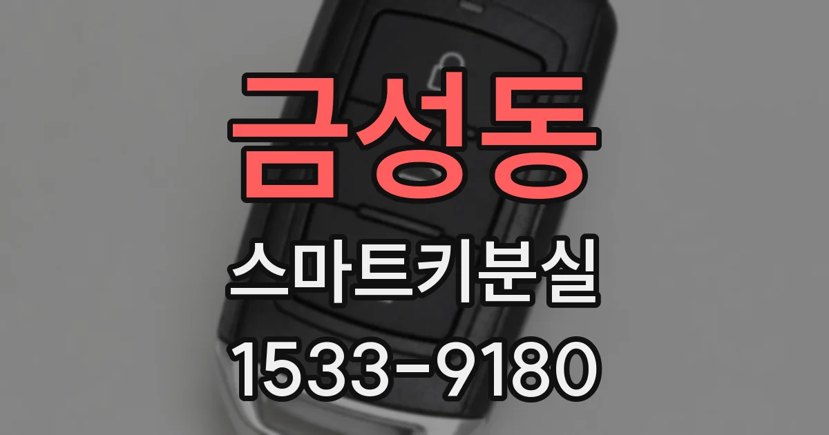 금성동 스마트키분실