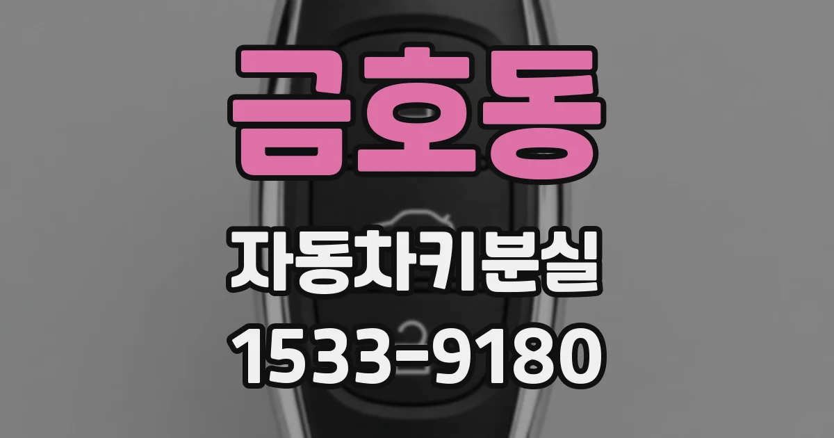 금호동 자동차키분실