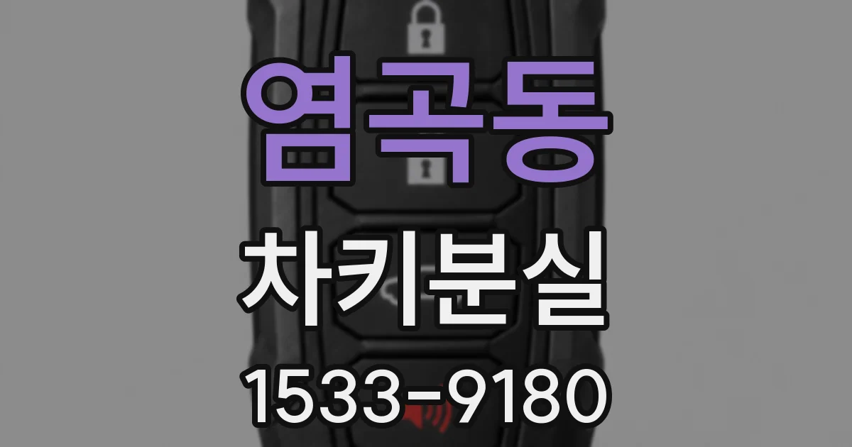 염곡동 차키분실