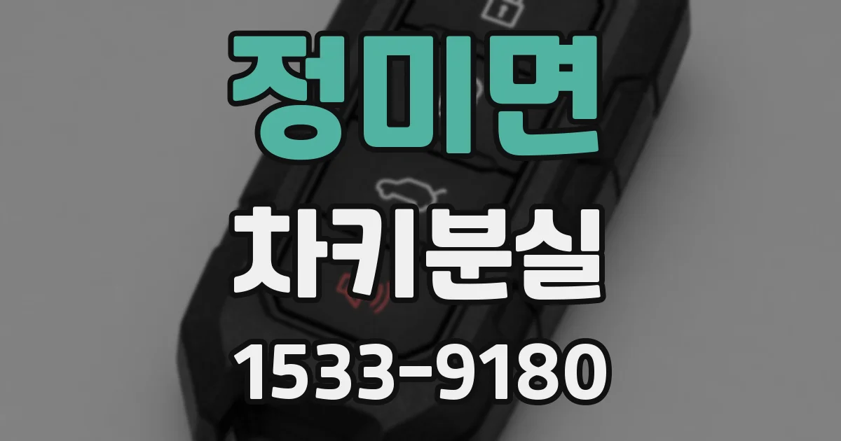 정미면 차키분실