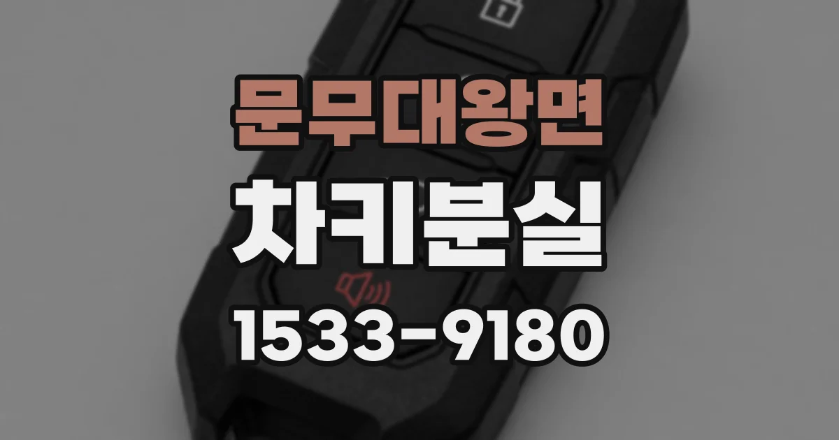 문무대왕면 차키분실